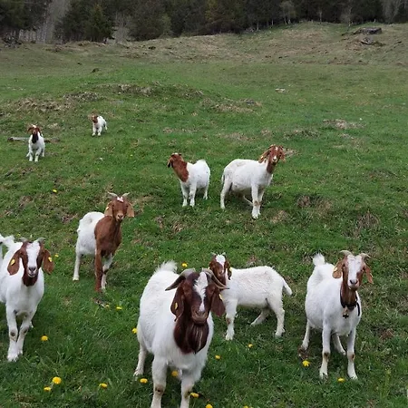 Stallerhof Hüttschlag