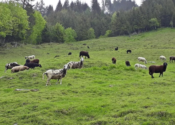 Stallerhof Hüttschlag